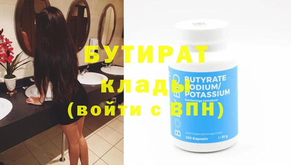 индика Снежногорск