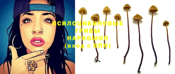 гашик Алзамай