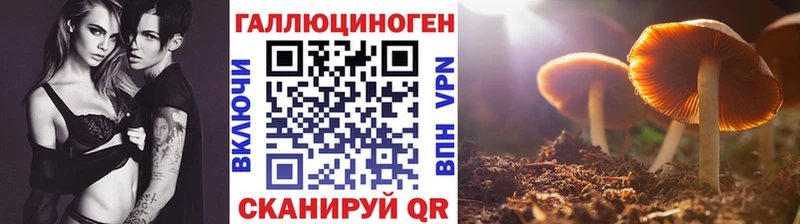 Псилоцибиновые грибы Psilocybe  мориарти Telegram  Грайворон  где можно купить наркотик 